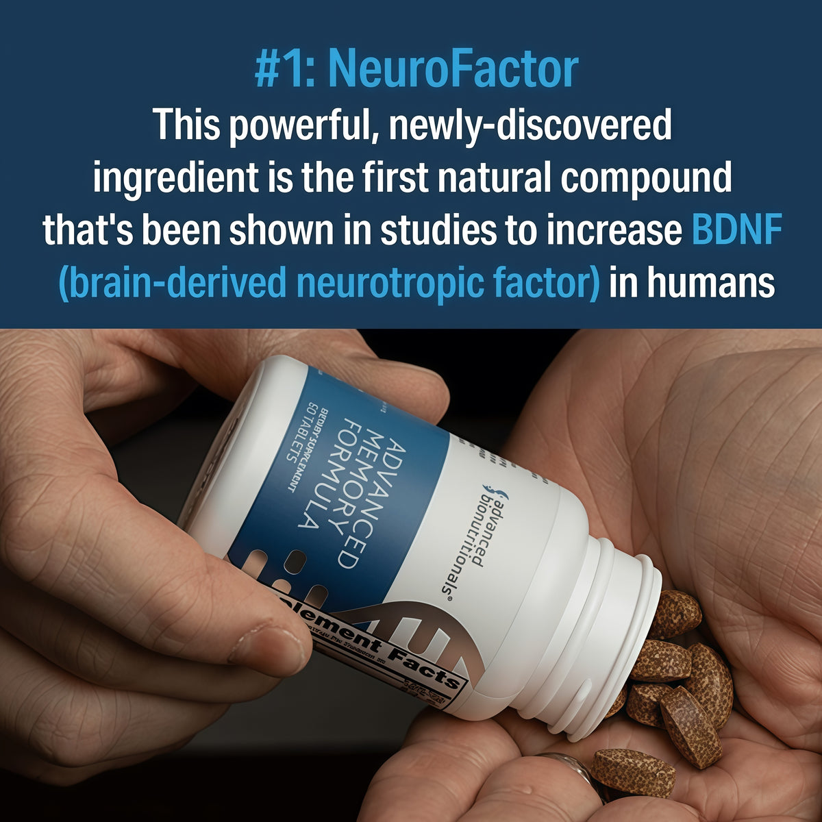 Advanced Memory Formula | NeuroFactor & Bacopa Memory Support | 60 Tablets